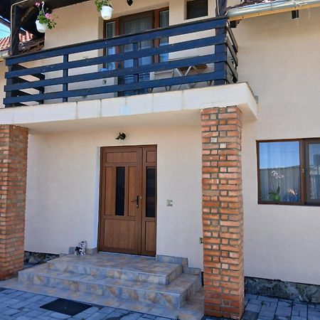 Casa Loredana Cîrţişoara Exteriér fotografie
