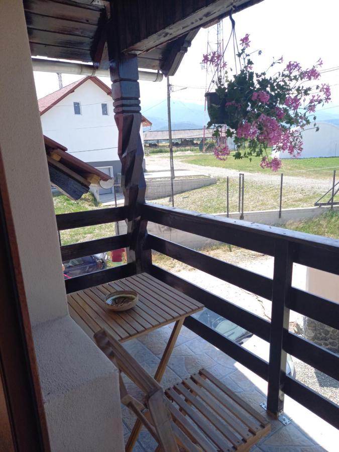 Casa Loredana Cîrţişoara Exteriér fotografie