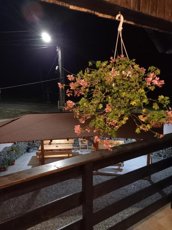 Casa Loredana Cîrţişoara Exteriér fotografie