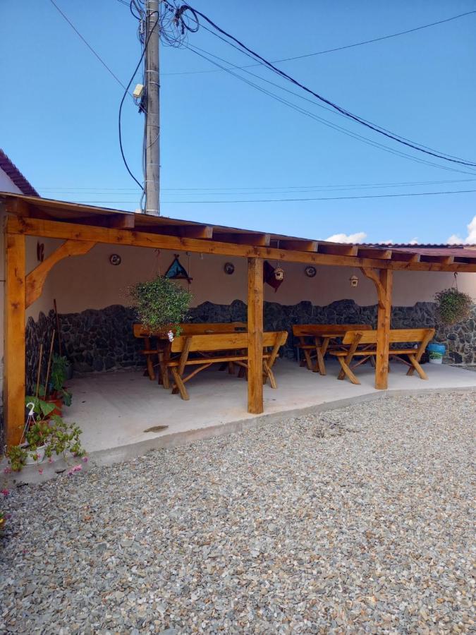 Casa Loredana Cîrţişoara Exteriér fotografie