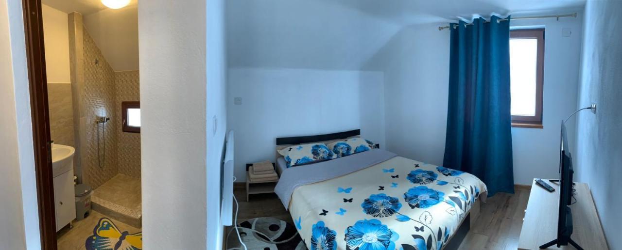 Casa Loredana Cîrţişoara Exteriér fotografie