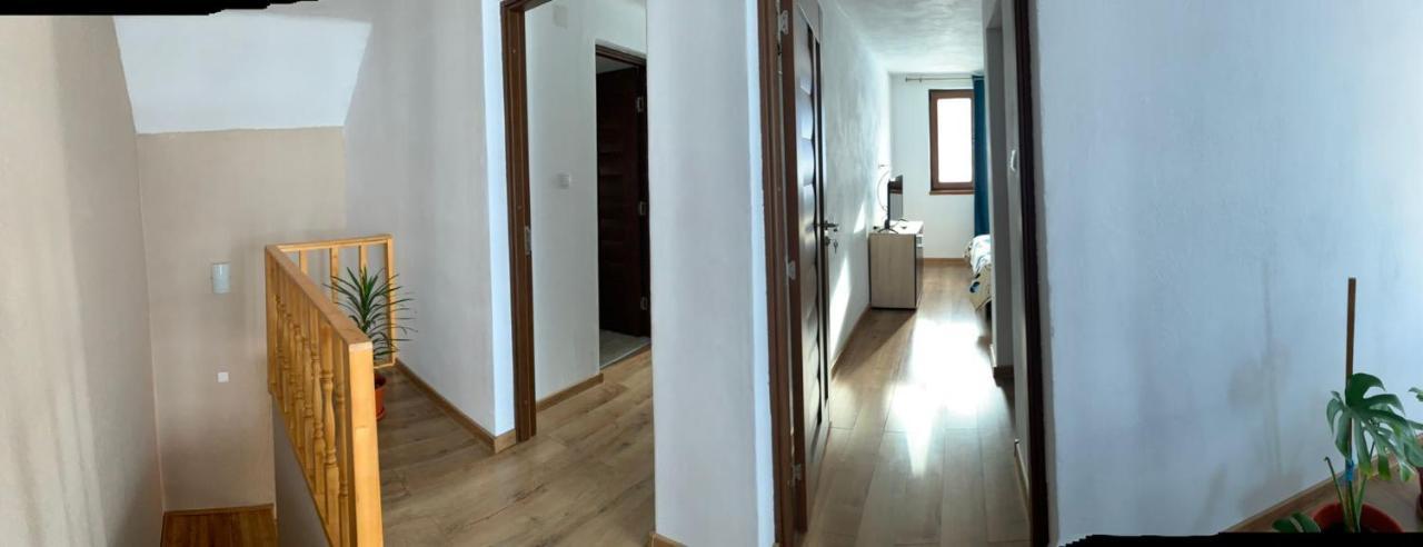 Casa Loredana Cîrţişoara Exteriér fotografie