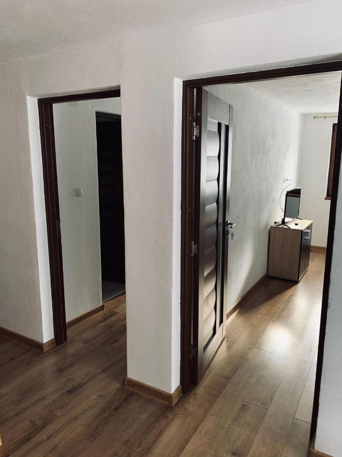 Casa Loredana Cîrţişoara Exteriér fotografie
