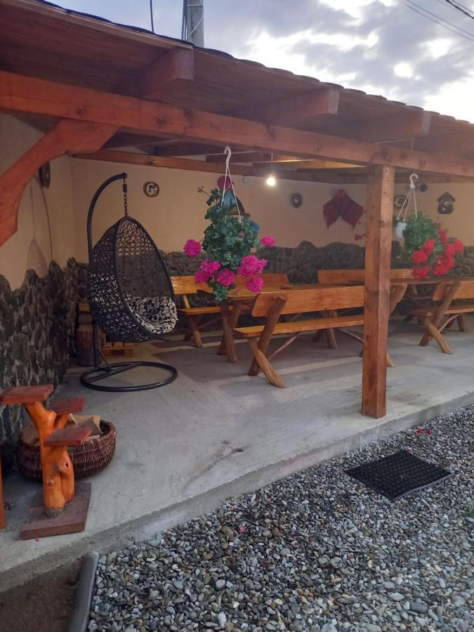Casa Loredana Cîrţişoara Exteriér fotografie