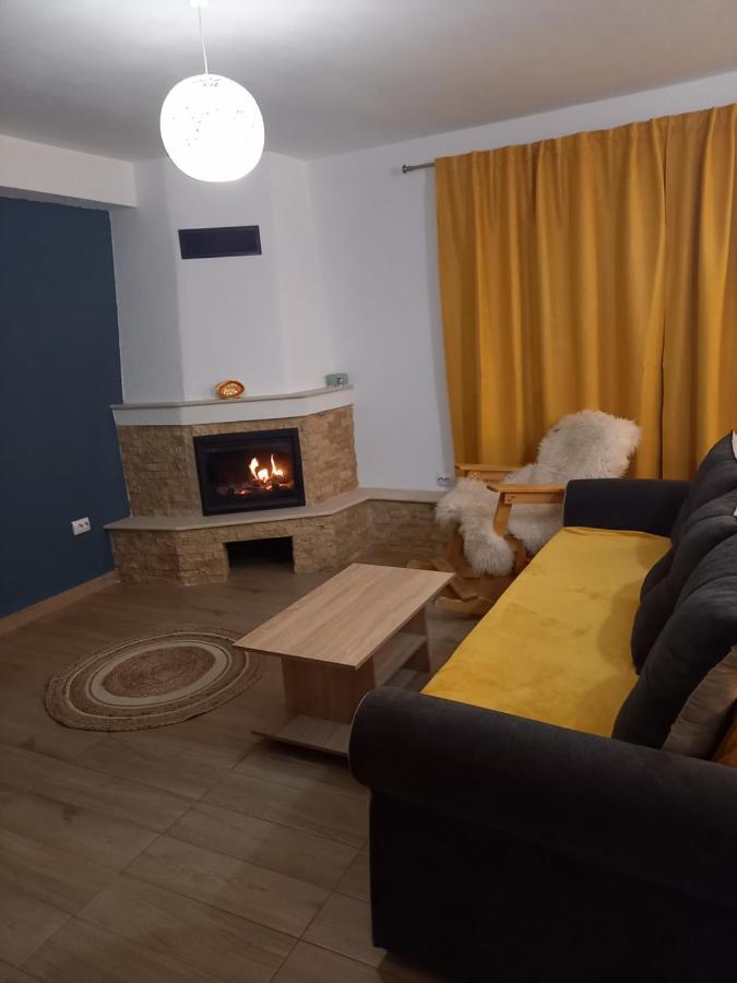 Casa Loredana Cîrţişoara Exteriér fotografie