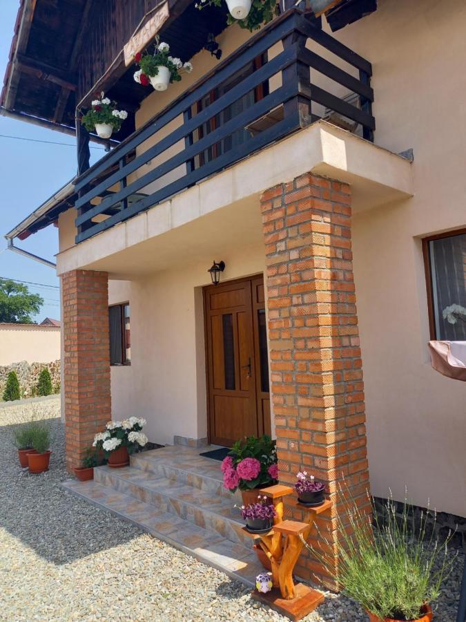 Casa Loredana Cîrţişoara Exteriér fotografie